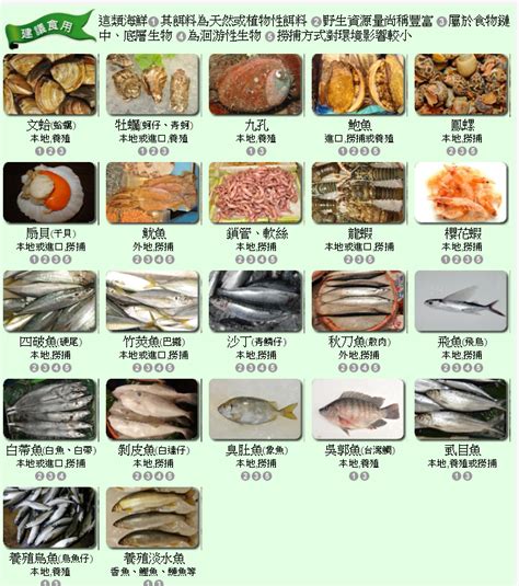 什麼魚|臺灣魚類資料庫